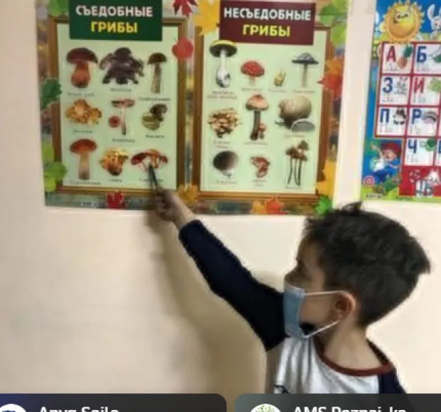 alliance_school_almaty