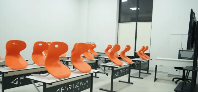 Prizma School