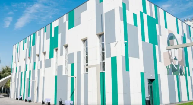 Shoqan School