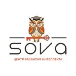 Sova school Центр развития интеллекта - логотип