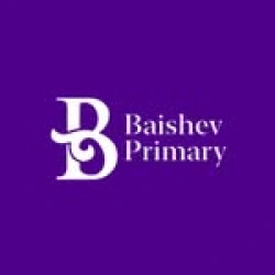 Baishev Частная школа-лицей - логотип