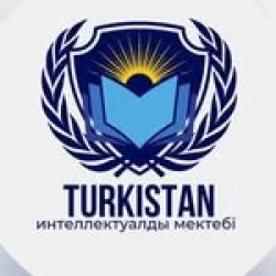 Turkistan интеллектуальная школа - логотип